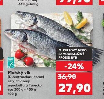 Kaufland Mořský vlk nabídka