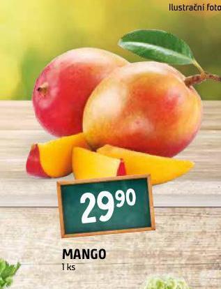 Terno Mango nabídka