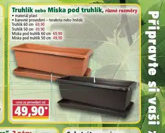 Truhlík