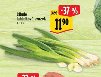 Albert Cibule lahůdková svazek nabídka