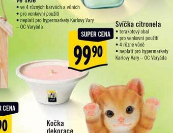 Albert Svíčka citronela nabídka