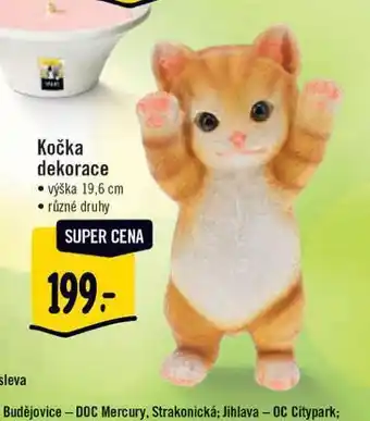 Albert Kočka dekorace nabídka