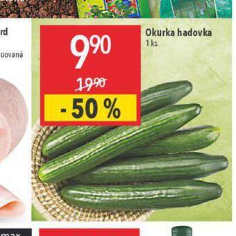 Globus Okurka hadovka nabídka