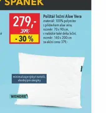 Globus Polštář ložní aloe vera 70 x 90 cm nabídka
