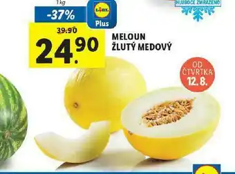 Meloun žlutý medový