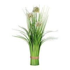 Möbelix Trs trávy, „alium i“ nabídka