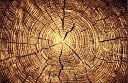 Sconto Koberec nabídka