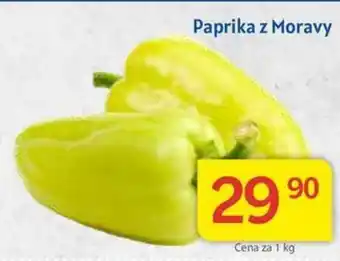 Kubík potraviny Paprika z Moravy 1kg nabídka