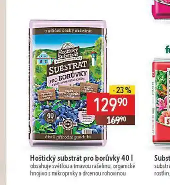 Globus Hoštický substrát pro borůvky nabídka