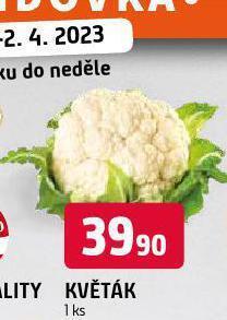 Terno Květák nabídka