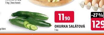 Terno Okurka salátová nabídka