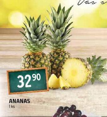 Terno Ananas nabídka