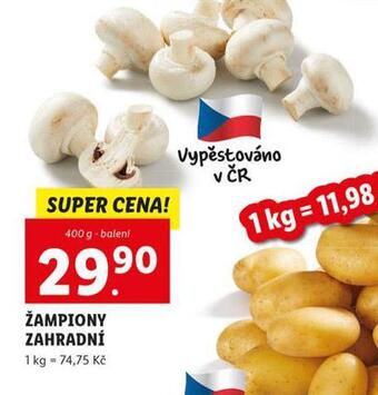 Žampiony zahradní