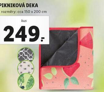 Lidl Pikniková deka nabídka