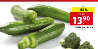 Lidl Okurka salátová nabídka