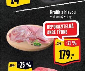 Albert Králík s hlavou nabídka