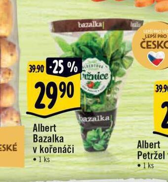Albert Bazalka v kořenáči nabídka