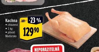 Albert Kachna nabídka