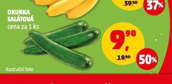 Penny Market Okurka salátová nabídka