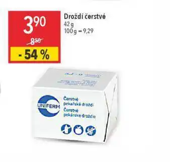 Globus Droždí čerstvé nabídka