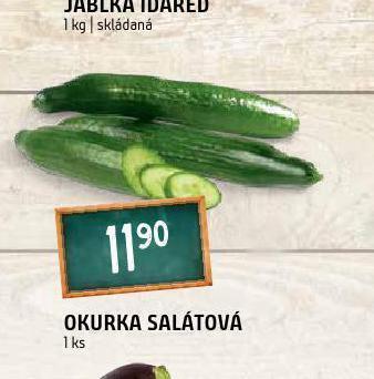 Terno Okurka salátová nabídka