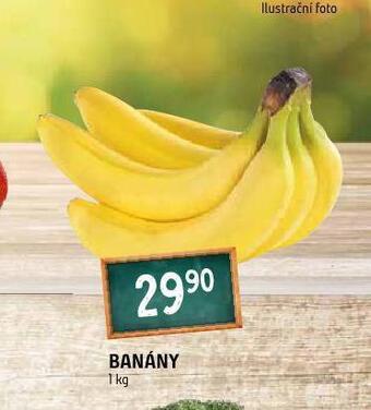 Terno Banány nabídka