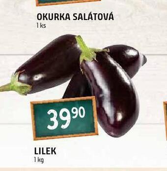 Terno Lilek nabídka