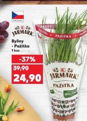 Kaufland Pažitka nabídka
