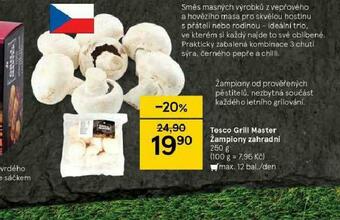Tesco Tesco grill master žampiony zahradní nabídka