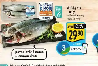 Jip Mořský vlk celý nabídka