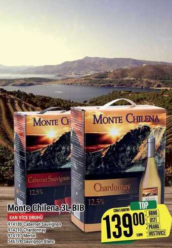 Tamda Foods Monte chilena 3l, bib nabídka