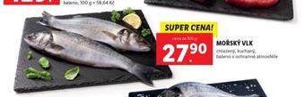Lidl Mořský vlk nabídka