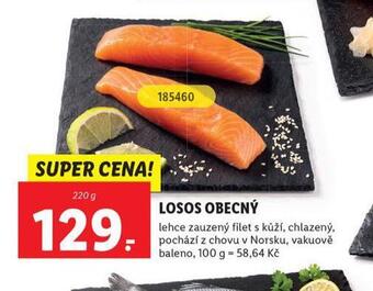 Lidl Losos obecný nabídka