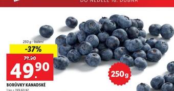 Lidl Borůvky kanadské nabídka
