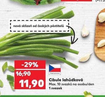 Kaufland Cibule lahůdková nabídka