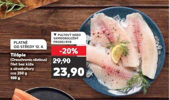 Kaufland Tilápie nabídka
