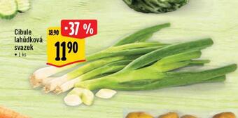 Albert Cibule lahůdková svazek nabídka