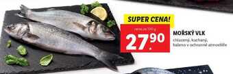 Lidl Mořský vlk, cena za 100 g nabídka