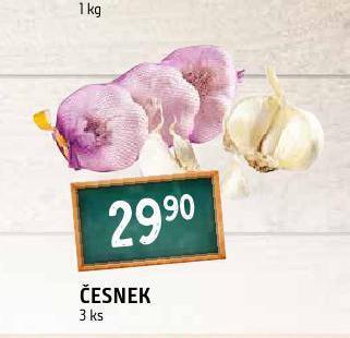Terno Česnek nabídka