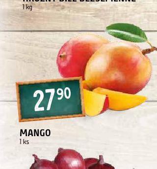 Terno Mango nabídka