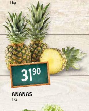 Terno Ananas nabídka