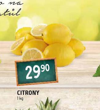 Terno Citrony nabídka