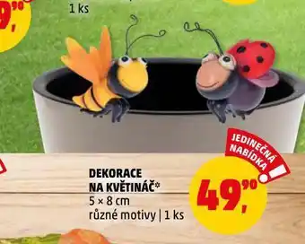 Penny Market Dekorace na květináč nabídka