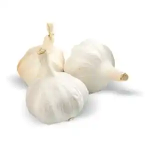 Makro Česnek 1 kg nabídka