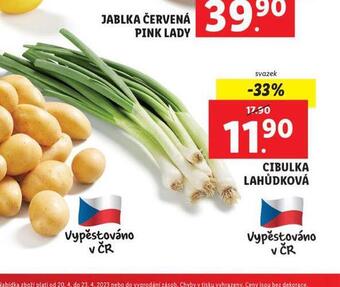 Cibulka lahůdková