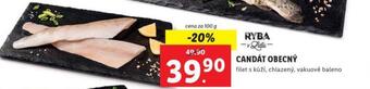 Lidl Candát obecný nabídka