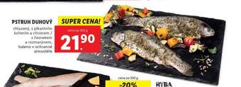 Lidl Pstruh duhový nabídka