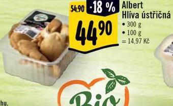 Albert Hlíva ústřičná nabídka