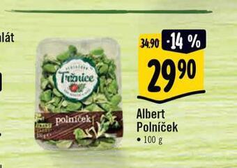 Albert Polniček nabídka