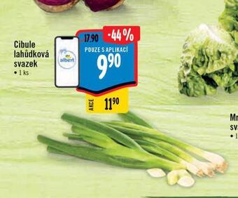 Albert Cibule lahůdková svazek nabídka